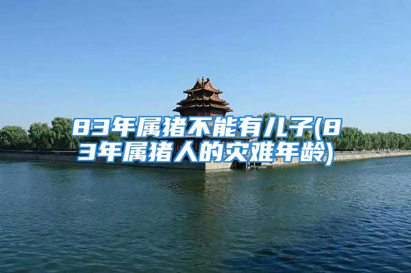 83年属猪不能有儿子(83年属猪人的灾难年龄)
