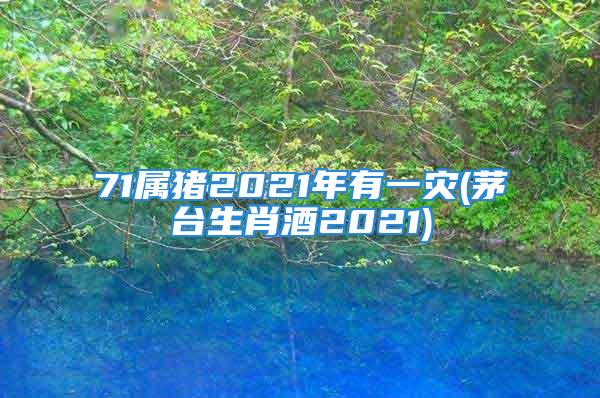 71属猪2021年有一灾(茅台生肖酒2021)