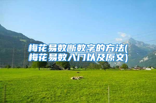 梅花易数断数字的方法(梅花易数入门以及原文)