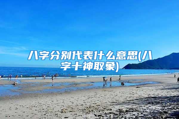 八字分别代表什么意思(八字十神取象)