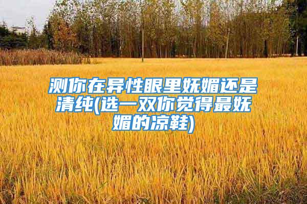测你在异性眼里妩媚还是清纯(选一双你觉得最妩媚的凉鞋)