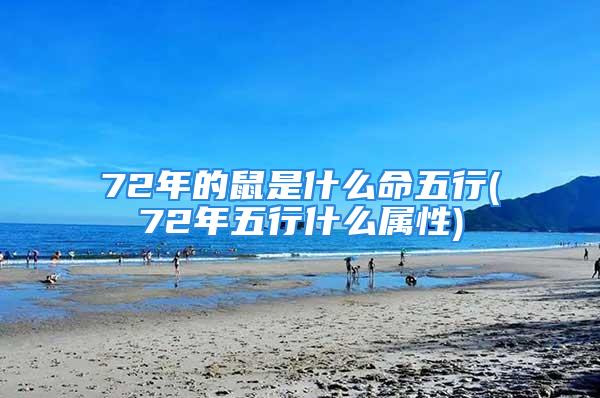 72年的鼠是什么命五行(72年五行什么属性)
