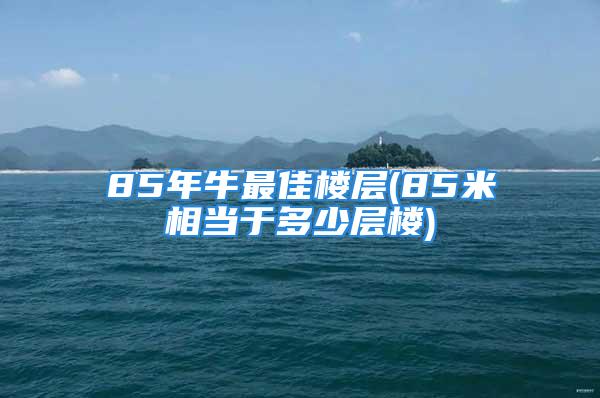 85年牛最佳楼层(85米相当于多少层楼)