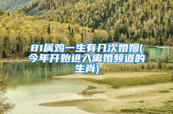 81属鸡一生有几次婚姻(今年开始进入离婚频道的生肖)