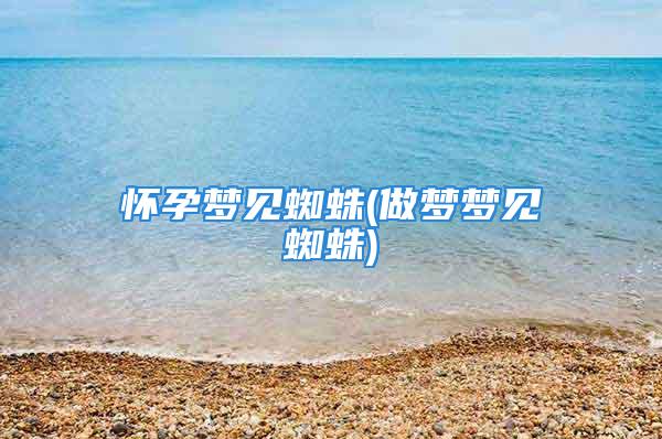 怀孕梦见蜘蛛(做梦梦见蜘蛛)