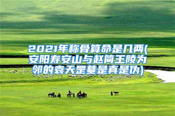 2021年称骨算命是几两(安阳寿安山与赵简王陵为邻的袁天罡墓是真是伪)