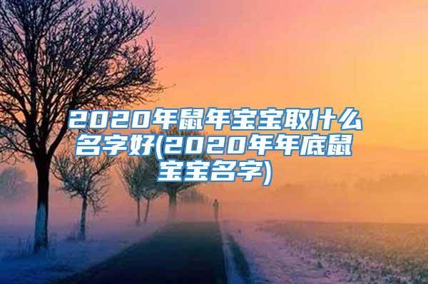 2020年鼠年宝宝取什么名字好(2020年年底鼠宝宝名字)