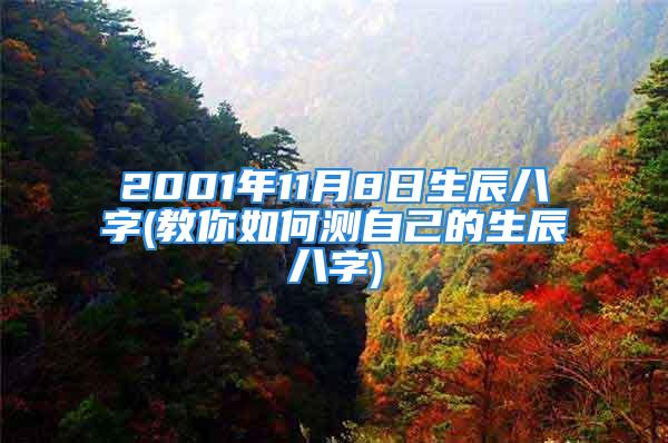 2001年11月8日生辰八字(教你如何测自己的生辰八字)