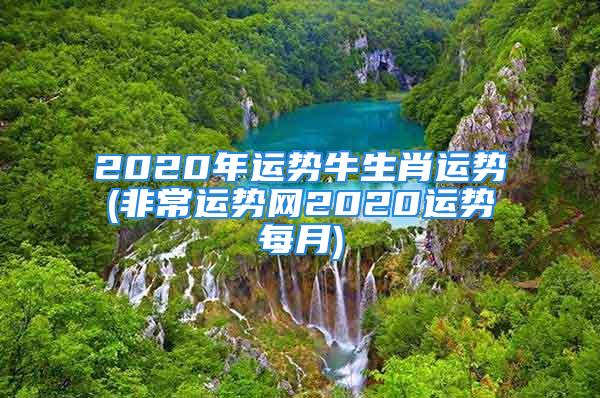 2020年运势牛生肖运势(非常运势网2020运势每月)