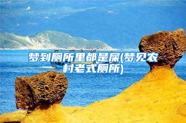 梦到厕所里都是屎(梦见农村老式厕所)