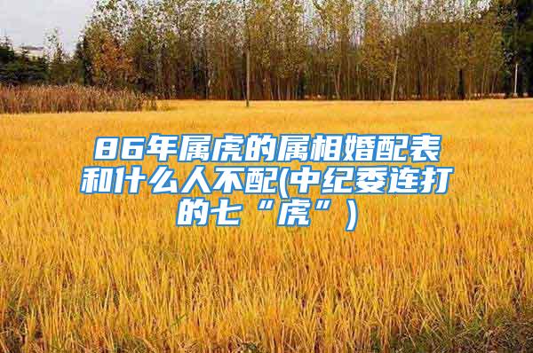 86年属虎的属相婚配表和什么人不配(中纪委连打的七“虎”)