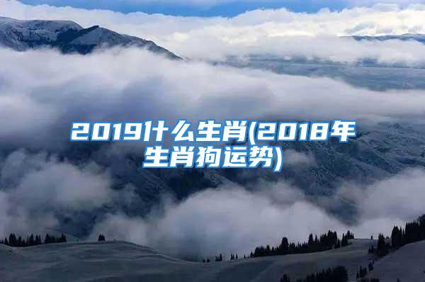 2019什么生肖(2018年生肖狗运势)