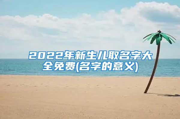 2022年新生儿取名字大全免费(名字的意义)