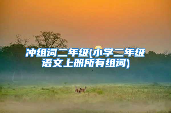冲组词二年级(小学二年级语文上册所有组词)