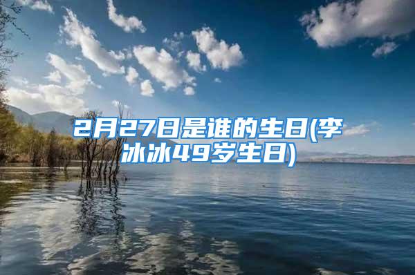 2月27日是谁的生日(李冰冰49岁生日)