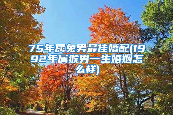 75年属兔男最佳婚配(1992年属猴男一生婚姻怎么样)
