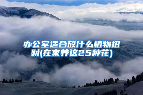 办公室适合放什么植物招财(在家养这25种花)