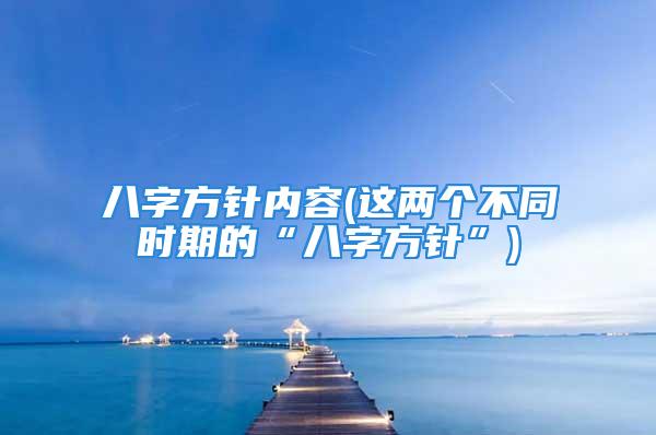 八字方针内容(这两个不同时期的“八字方针”)