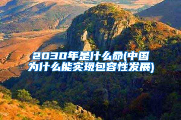 2030年是什么命(中国为什么能实现包容性发展)