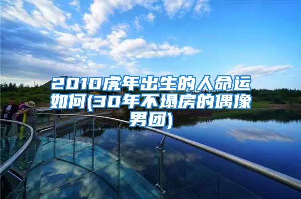 2010虎年出生的人命运如何(30年不塌房的偶像男团)