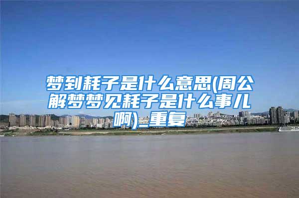 梦到耗子是什么意思(周公解梦梦见耗子是什么事儿啊)_重复