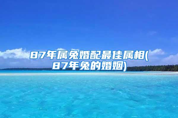 87年属兔婚配最佳属相(87年兔的婚姻)