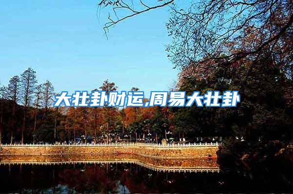 大壮卦财运,周易大壮卦