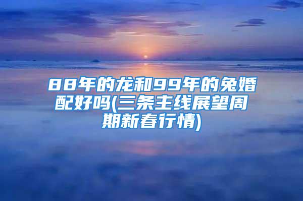 88年的龙和99年的兔婚配好吗(三条主线展望周期新春行情)
