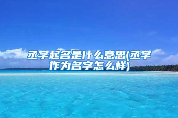 丞字起名是什么意思(丞字作为名字怎么样)