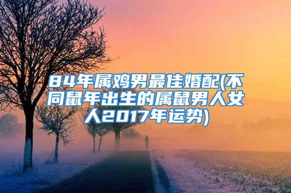 84年属鸡男最佳婚配(不同鼠年出生的属鼠男人女人2017年运势)