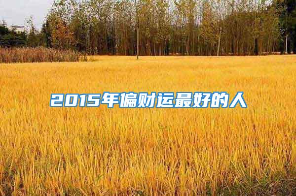 2015年偏财运最好的人