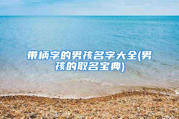 带柄字的男孩名字大全(男孩的取名宝典)