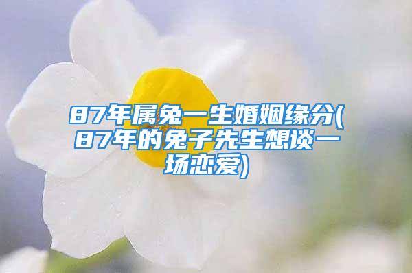 87年属兔一生婚姻缘分(87年的兔子先生想谈一场恋爱)