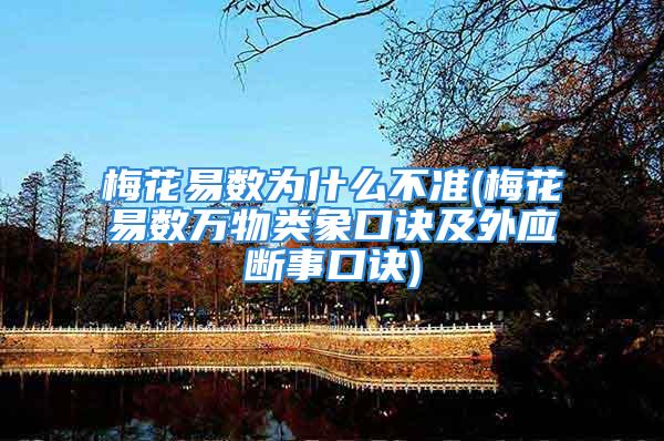 梅花易数为什么不准(梅花易数万物类象口诀及外应断事口诀)