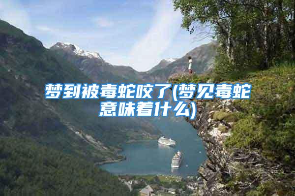梦到被毒蛇咬了(梦见毒蛇意味着什么)