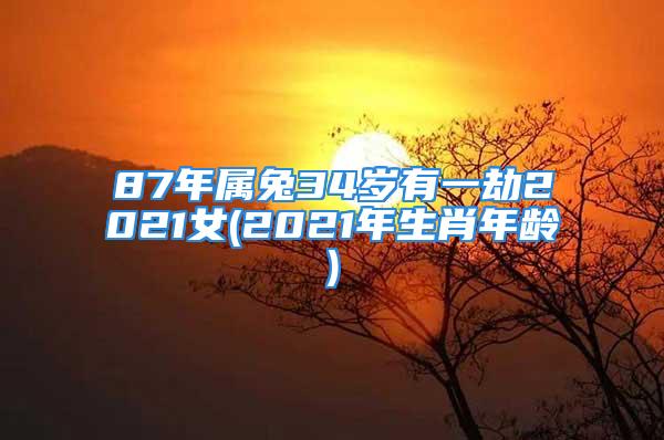 87年属兔34岁有一劫2021女(2021年生肖年龄)