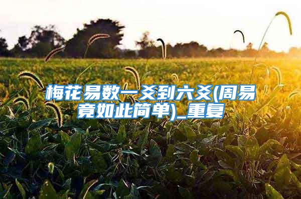 梅花易数一爻到六爻(周易竟如此简单)_重复