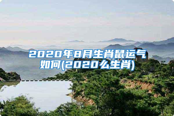 2020年8月生肖鼠运气如何(2020么生肖)