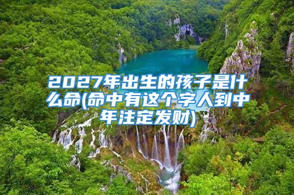 2027年出生的孩子是什么命(命中有这个字人到中年注定发财)