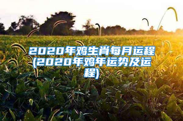 2020年鸡生肖每月运程(2020年鸡年运势及运程)