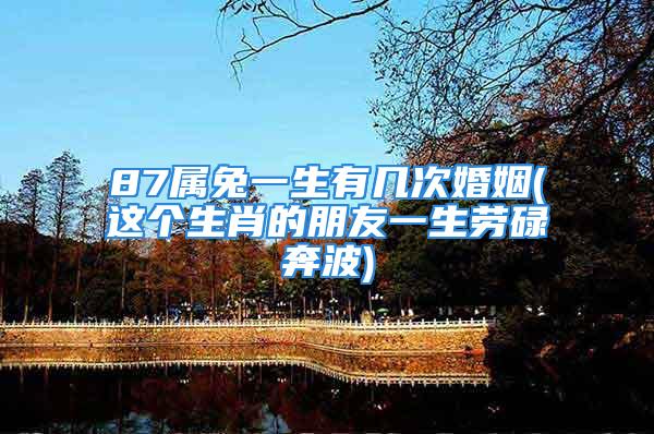 87属兔一生有几次婚姻(这个生肖的朋友一生劳碌奔波)