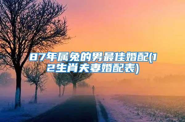 87年属兔的男最佳婚配(12生肖夫妻婚配表)
