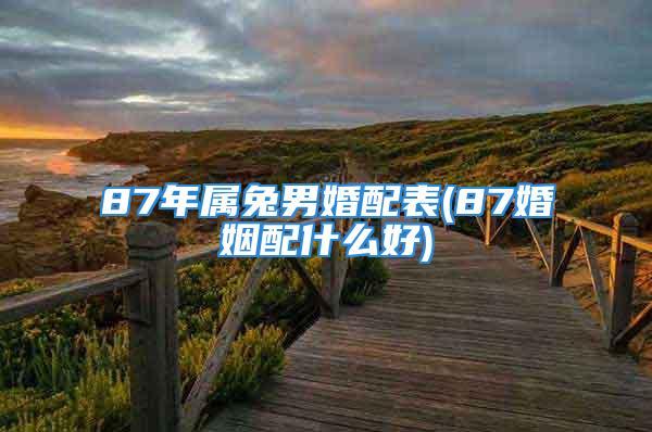 87年属兔男婚配表(87婚姻配什么好)