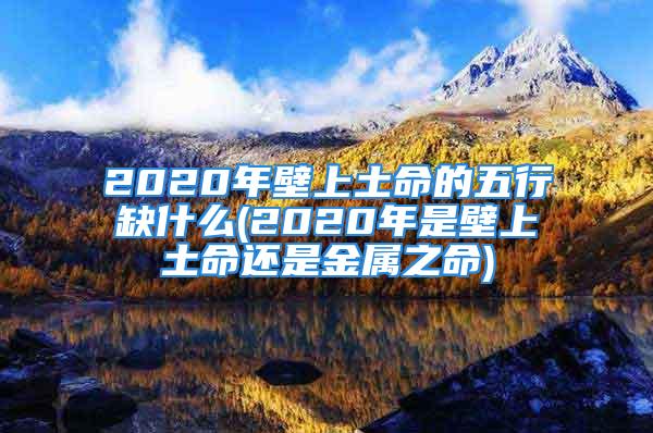 2020年壁上土命的五行缺什么(2020年是壁上土命还是金属之命)