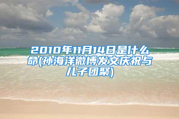 2010年11月14日是什么命(孙海洋微博发文庆祝与儿子团聚)