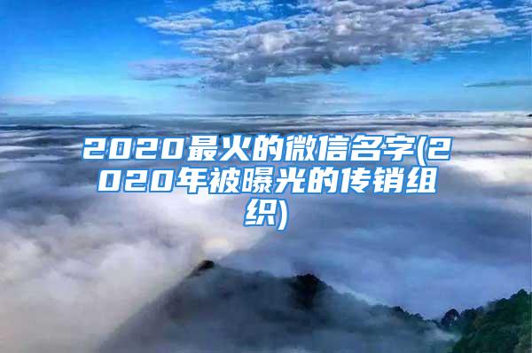 2020最火的微信名字(2020年被曝光的传销组织)