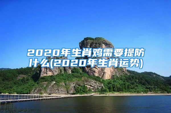 2020年生肖鸡需要提防什么(2020年生肖运势)