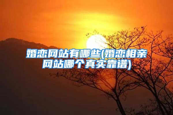 婚恋网站有哪些(婚恋相亲网站哪个真实靠谱)