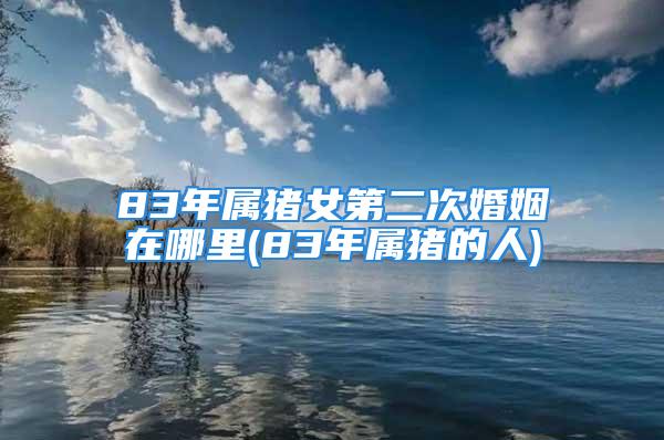 83年属猪女第二次婚姻在哪里(83年属猪的人)