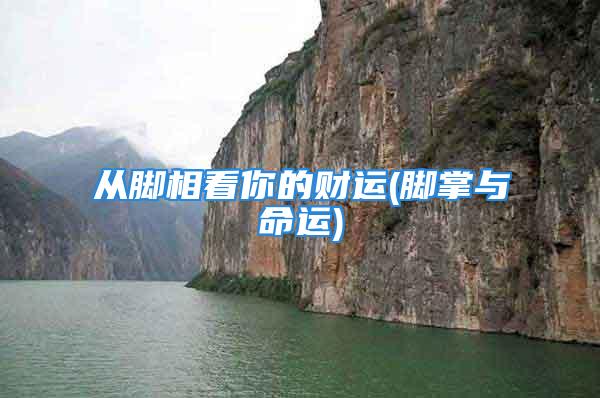 从脚相看你的财运(脚掌与命运)